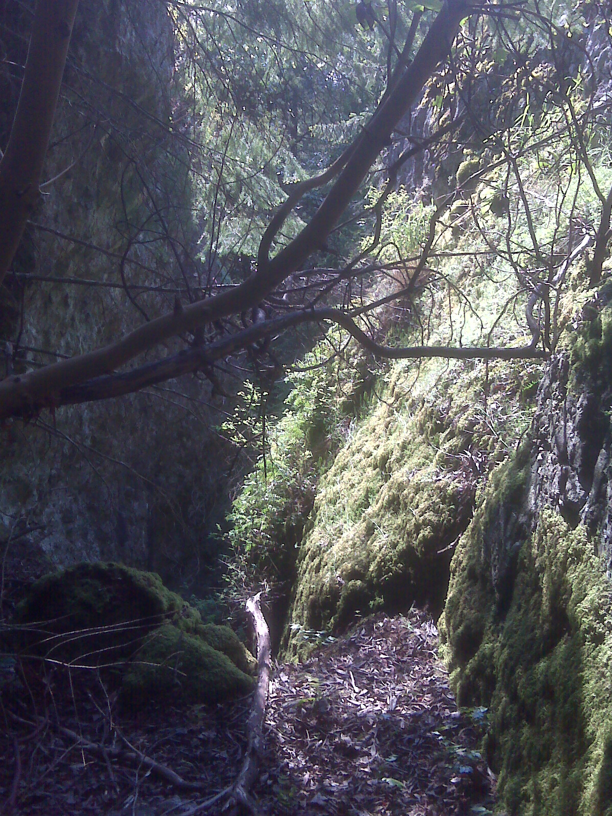cleft between rocks
