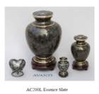 ac200lessenceslate_small.jpg